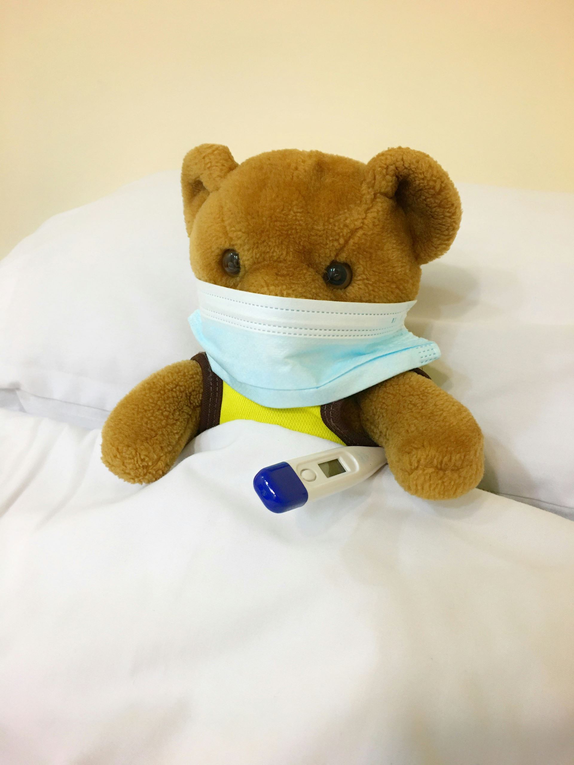 Ted