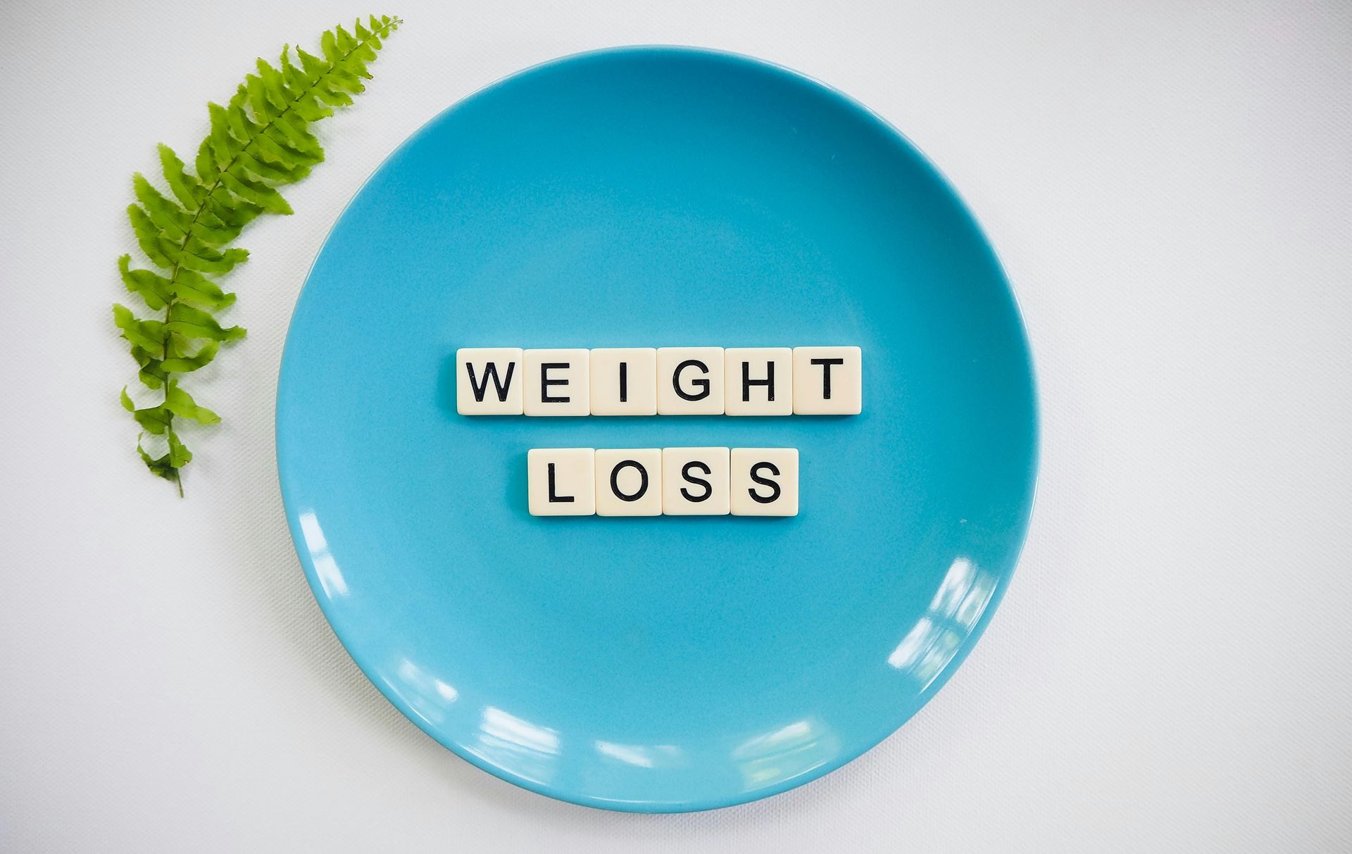 weight loss plate